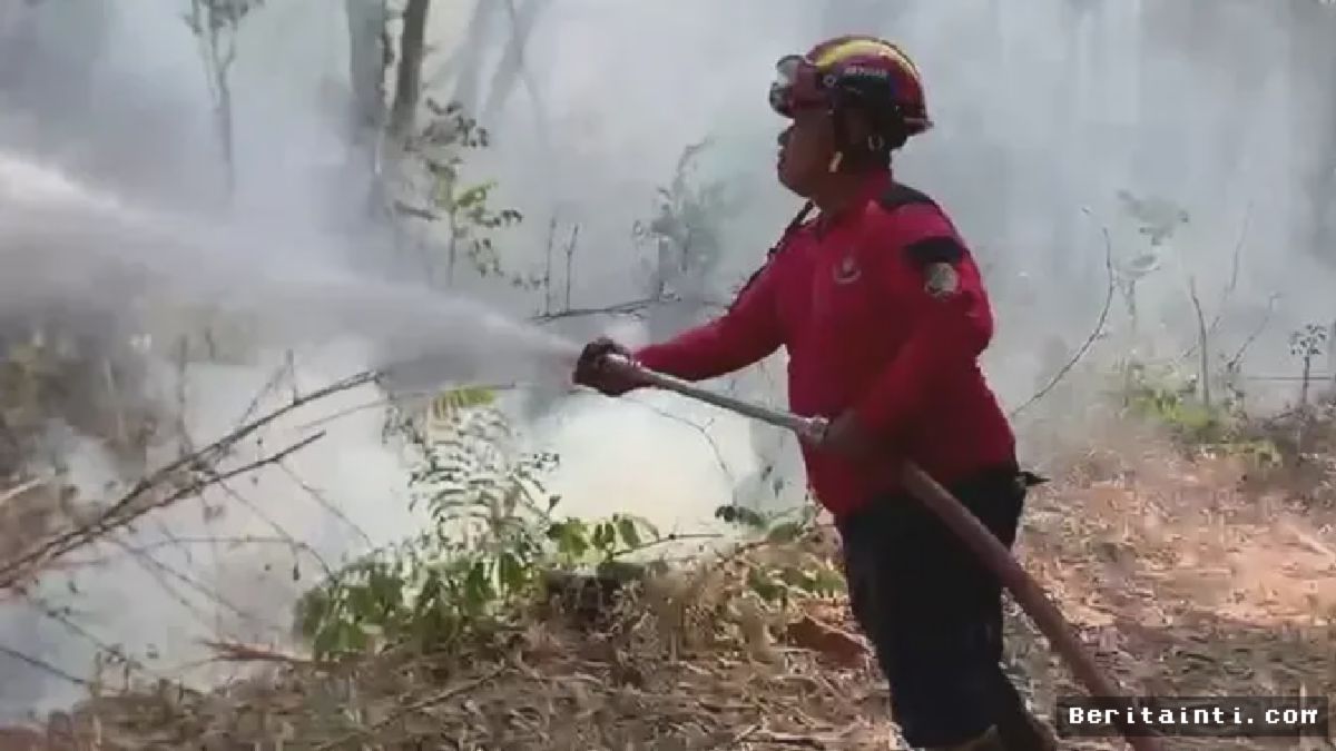 TULUNGAGUNG — Karhutla Melahap 5 Hektare Lahan Perhutani Gunung Budeg