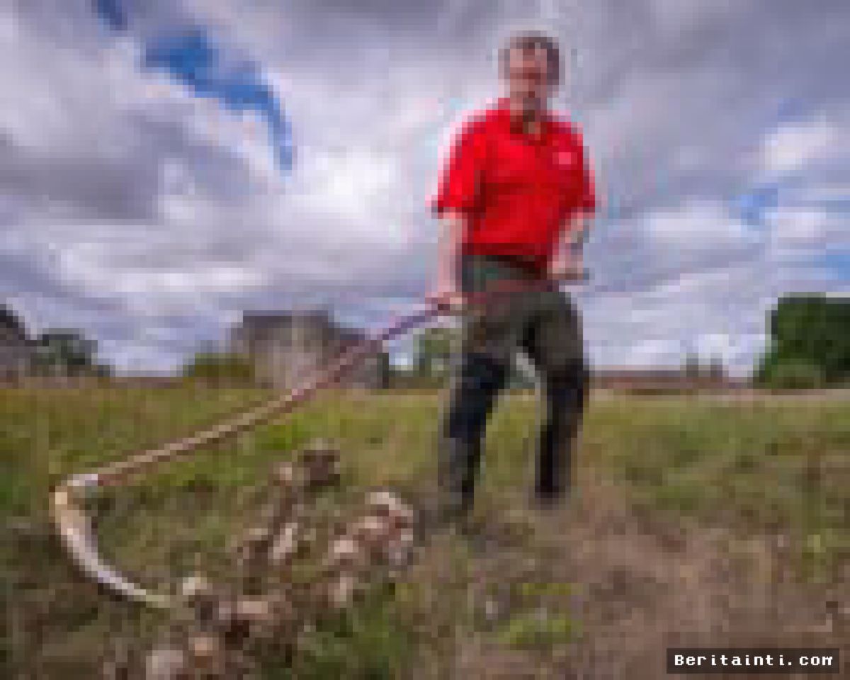 Inggris Latih Sukarelawan Sabit Tradisional demi Jaga Ekosistem Padang Rumput