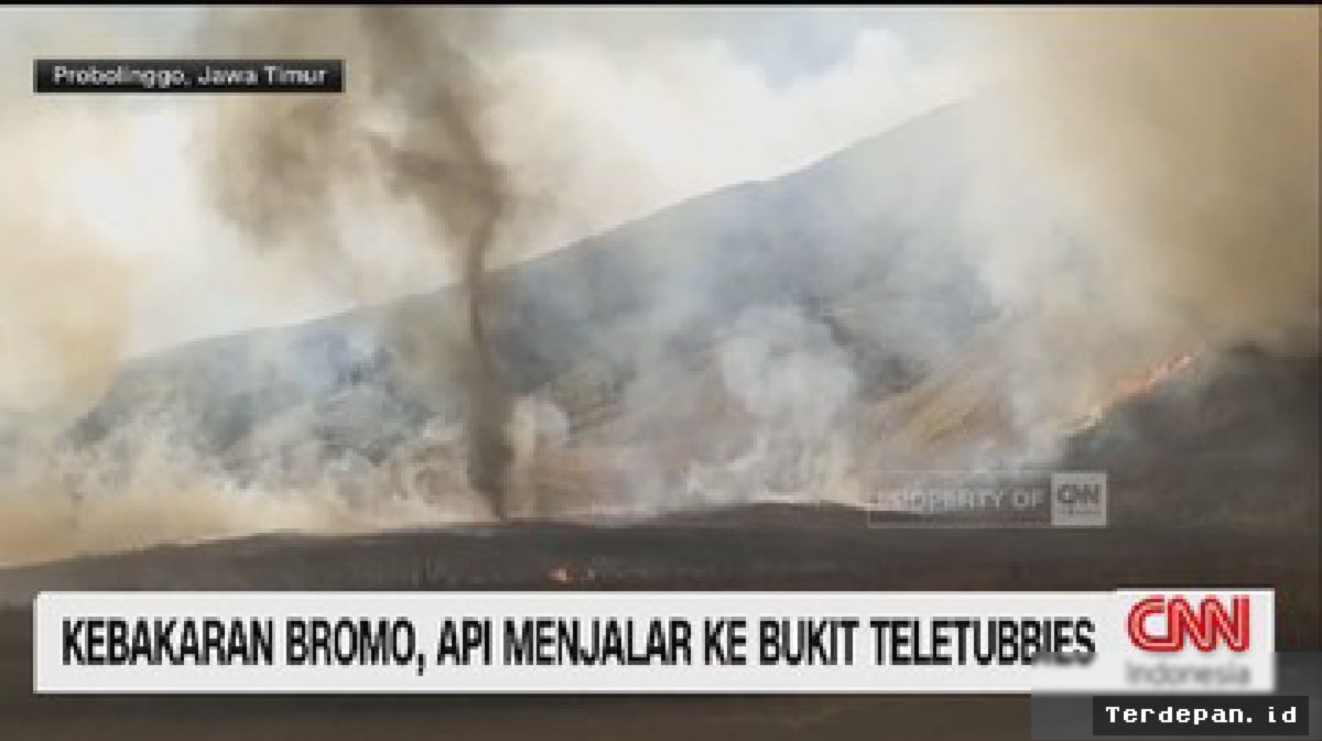 Kebakaran Hutan Bromo Meluas hingga Menghanguskan Savana Bukit Teletubbies