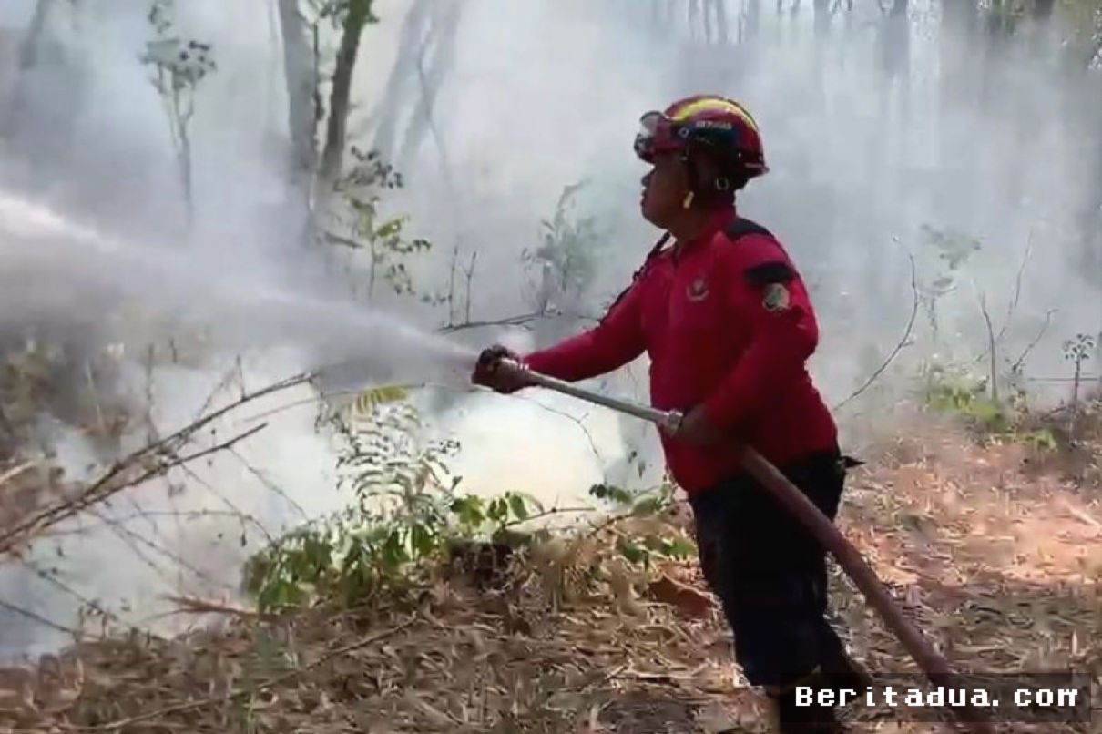 Gunung Budeg Terbakar, 5 Hektare Lahan Hutan Tulungagung Hangus