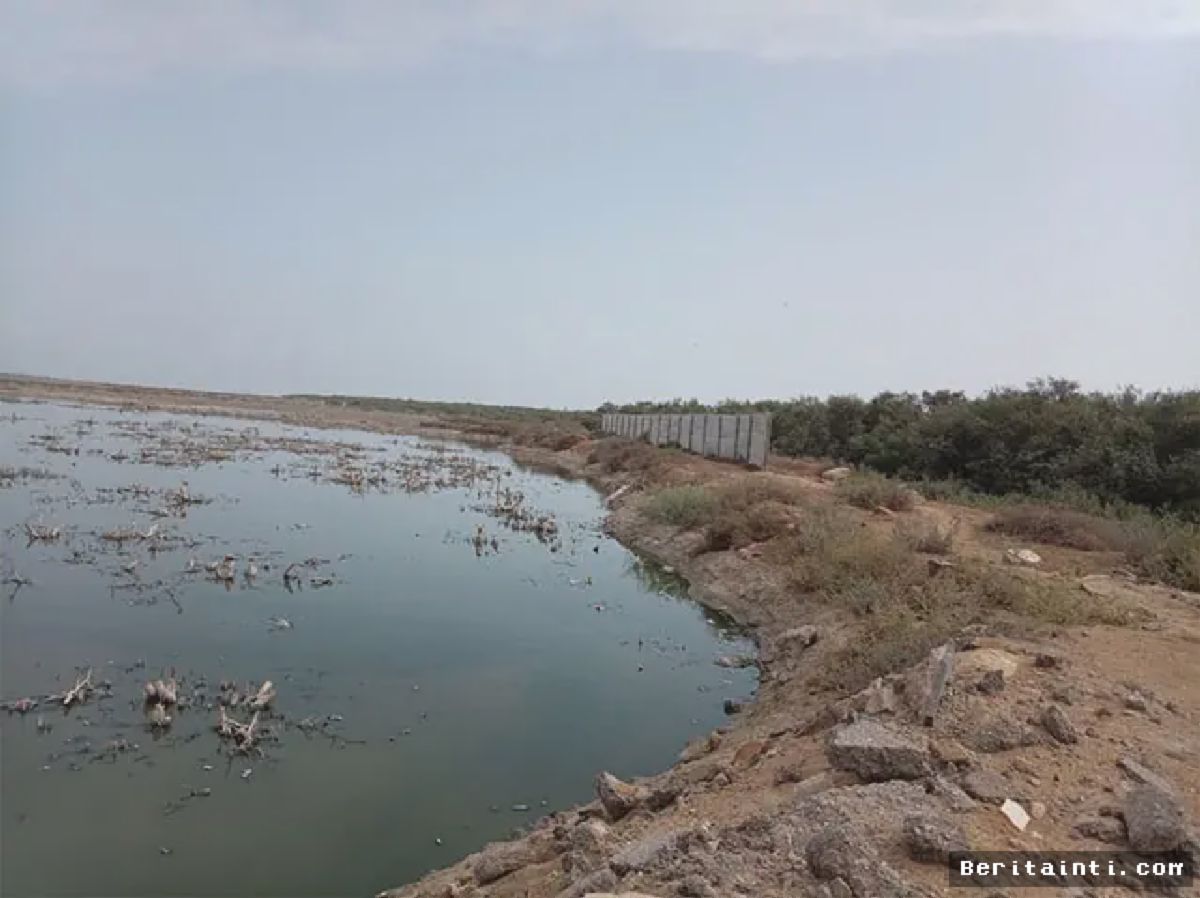 Karachi — Reklamasi Ilegal Mangrove Korangi Creek Ancaman Pesisir Pakistan