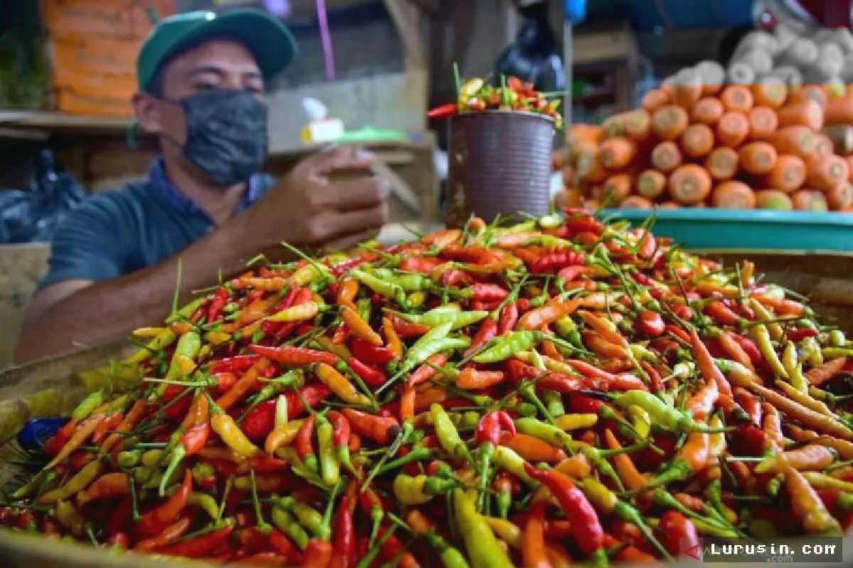 JAKARTA — Harga Cabai Rawit Meroket Tembus Rp85.500 per Kilogram