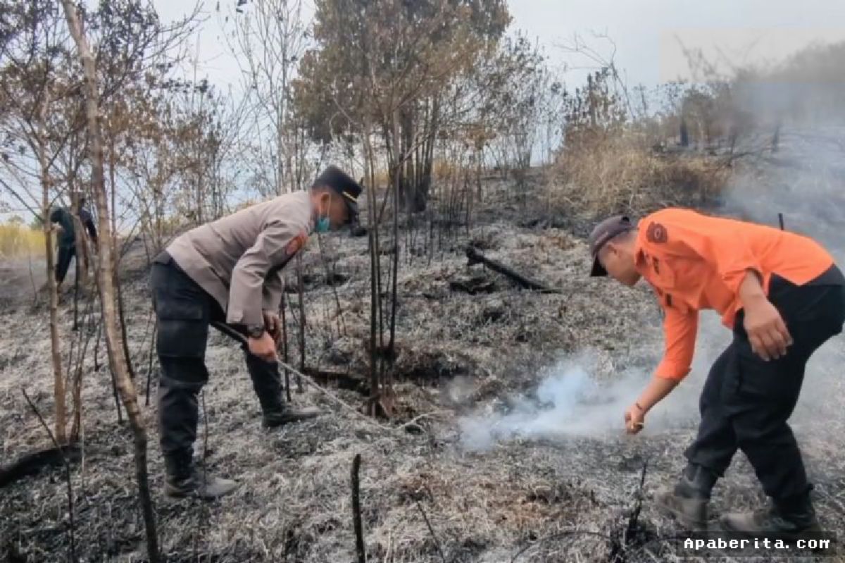Madiun — Kebakaran Hutan Gunung Wilis Meluas Hingga 465 Hektare