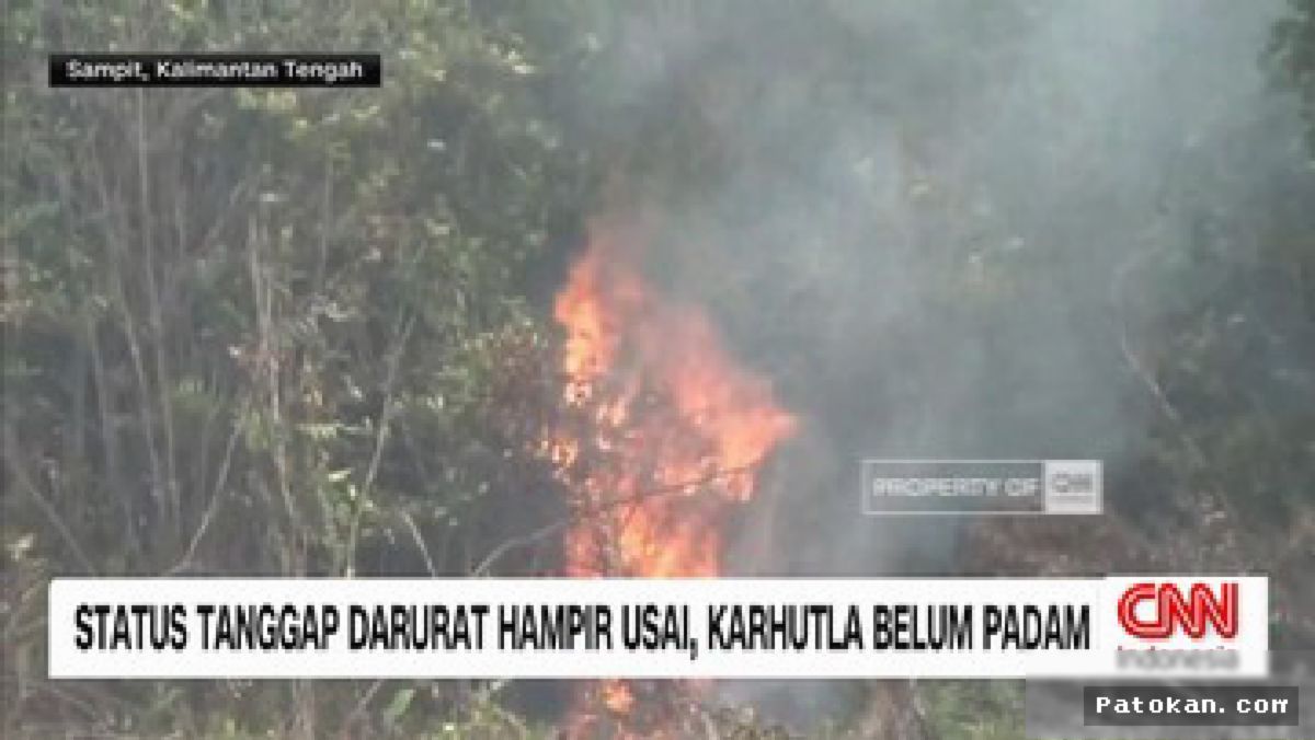 KOTAWARINGIN TIMUR — Karhutla Mengganas, Puluhan Titik Api Masih Berkobar