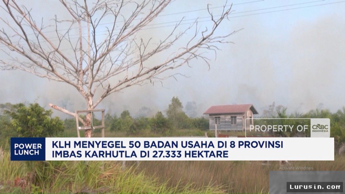 KLH Segel 50 Badan Usaha Imbas Karhutla 27 Ribu Hektare