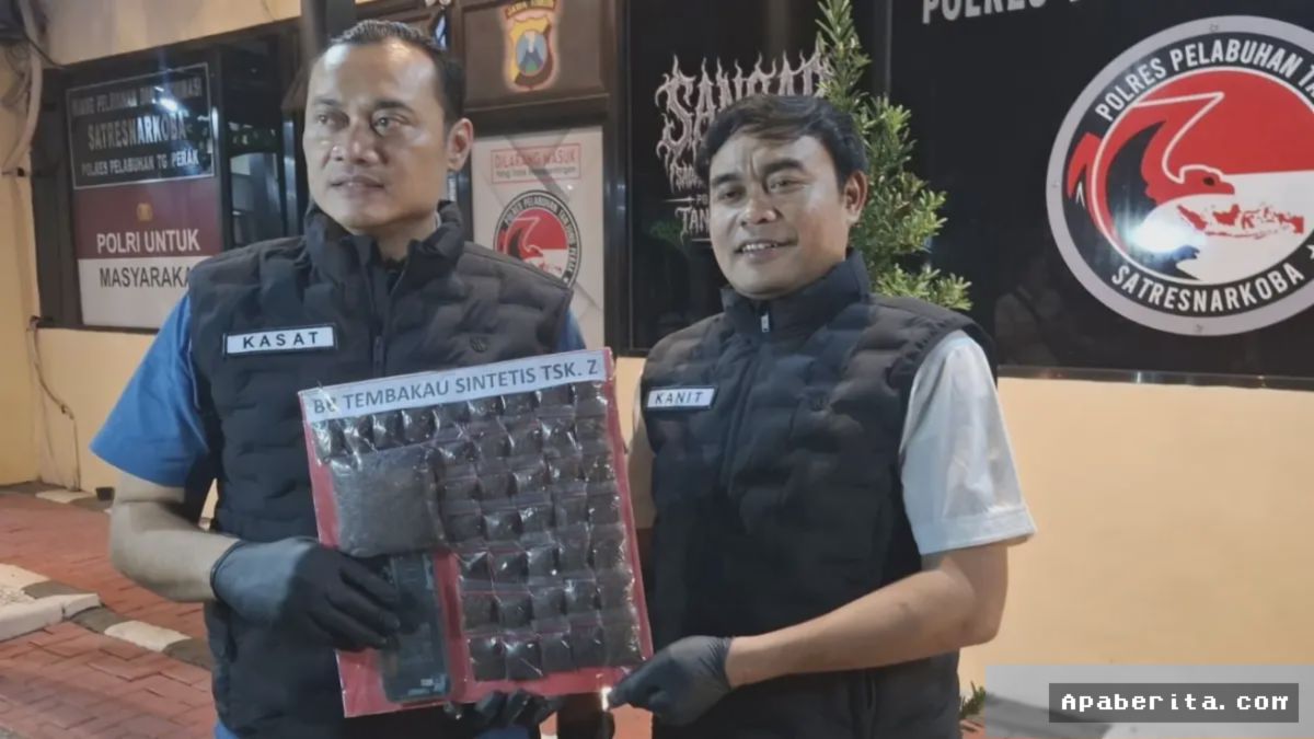 Surabaya — Polres Pelabuhan Ringkus Pengedar Tembakau Sintetis Ratusan Gram