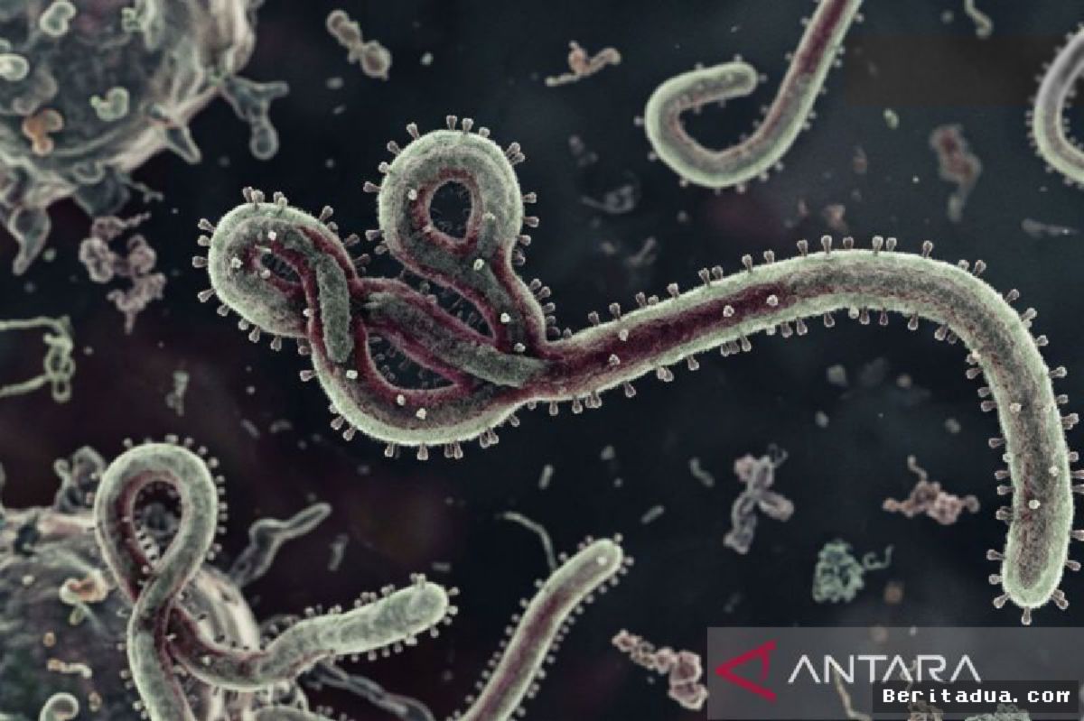 UGANDA — Wabah Ebola Terbaru Berhasil Diatasi Sepenuhnya