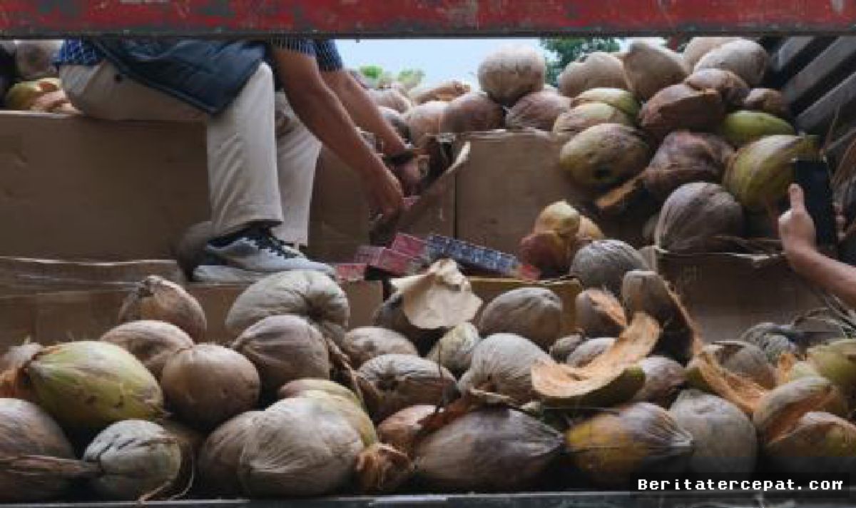Bea Cukai Gagalkan Penyelundupan 796 Ribu Rokok Ilegal di Sumedang