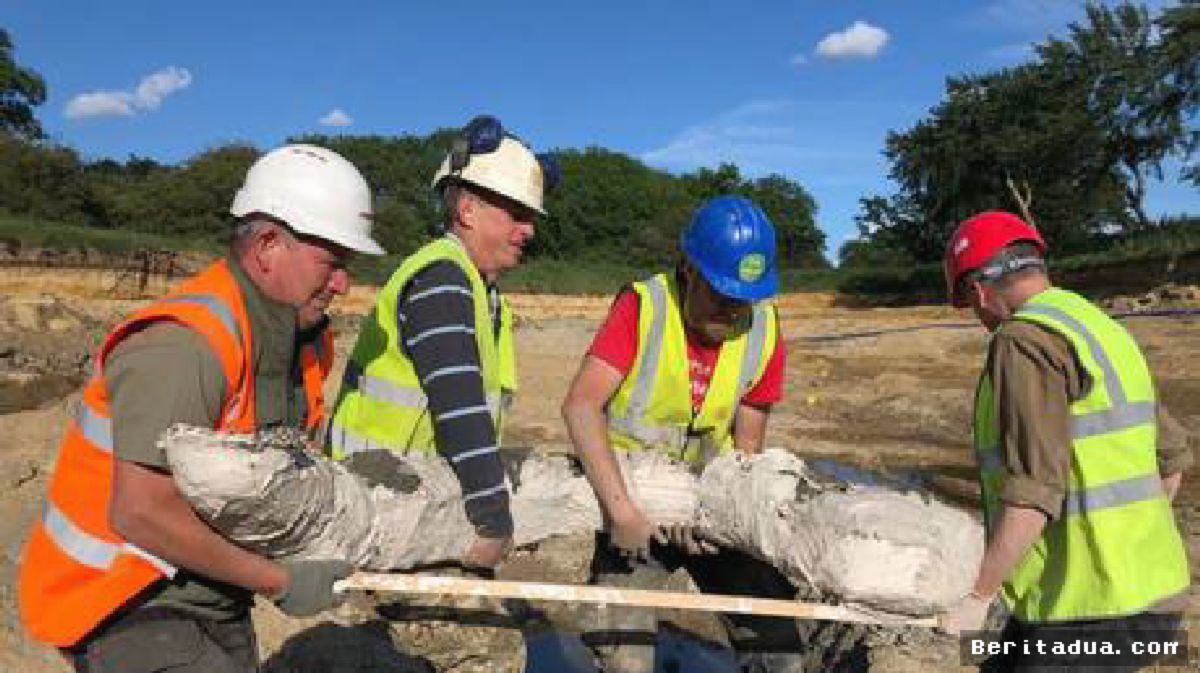 INGGRIS — Arkeolog Temukan Kuburan Mammoth Berusia 220 Ribu Tahun
