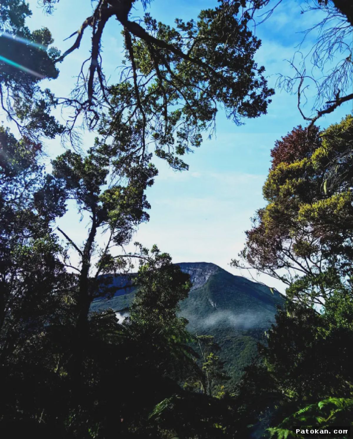 TNGGP Perpanjang Penutupan Pendakian Gunung Gede Pangrango Guna Cegah Karhutla