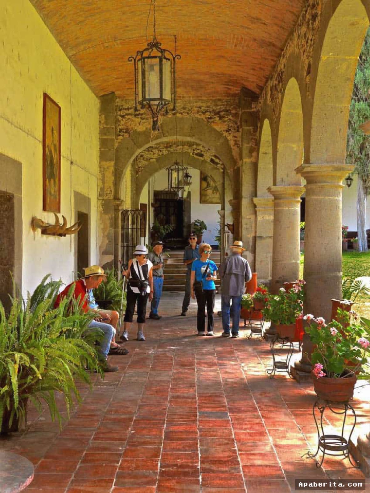Pasangan Amerika Buru Reruntuhan Hacienda Tersembunyi di Meksiko