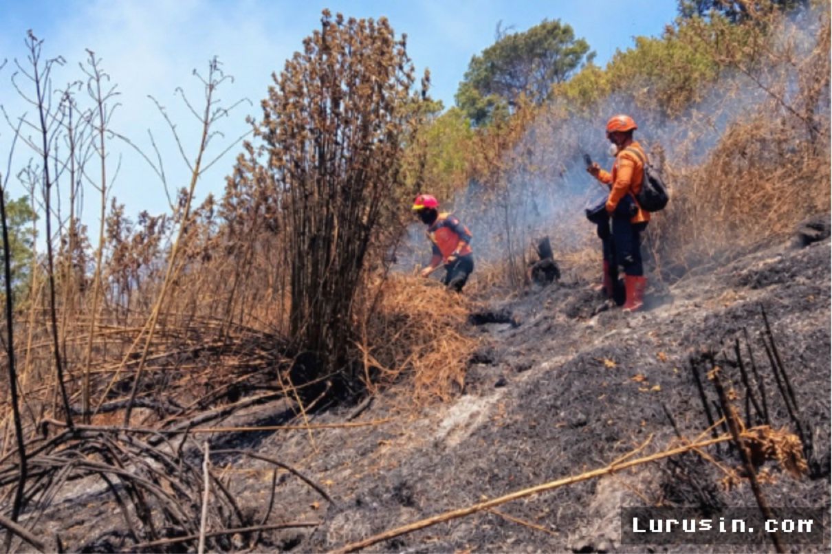 JATIM — Karhutla Landa 14 Gunung di Jawa Timur, 5 Titik Masih Menyala