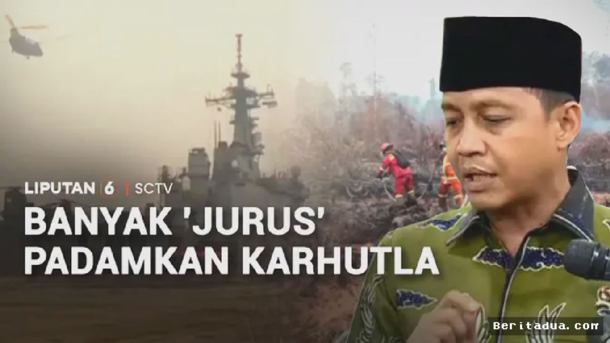 Jepang Kirim Helikopter Chinook Padamkan Karhutla, DPR Incar Perusahaan Nakal