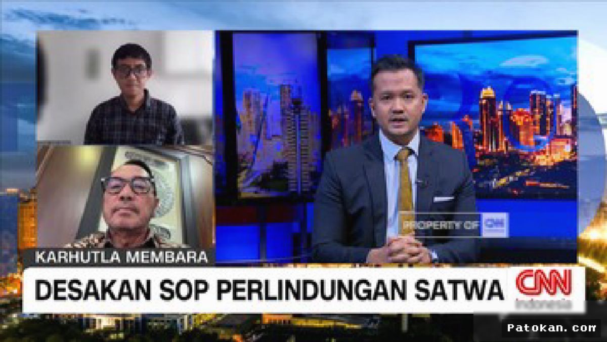 DPR Minta Kementerian Kehutanan Susun SOP Penyelamatan Satwa Terdampak Karhutla
