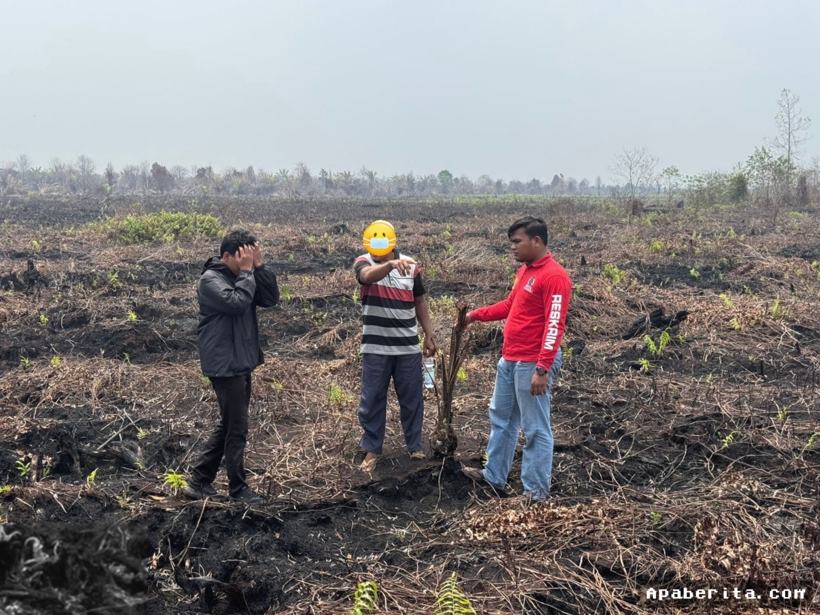 OIKN Tindak Tegas Pelaku Pembakaran Lahan Ilegal di Tahura