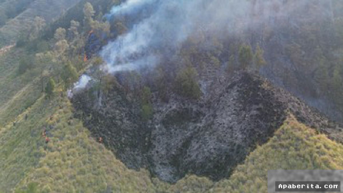 Kebakaran di Sabana Pengol, Akses Wisata Bromo Jalur Malang Ditutup