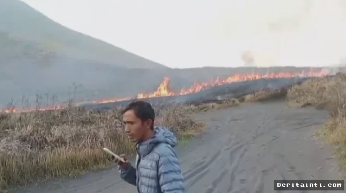 Karhutla Bromo Mengganas, Kobaran Api Hanguskan Bukit Teletubbies dan Menuju Malang