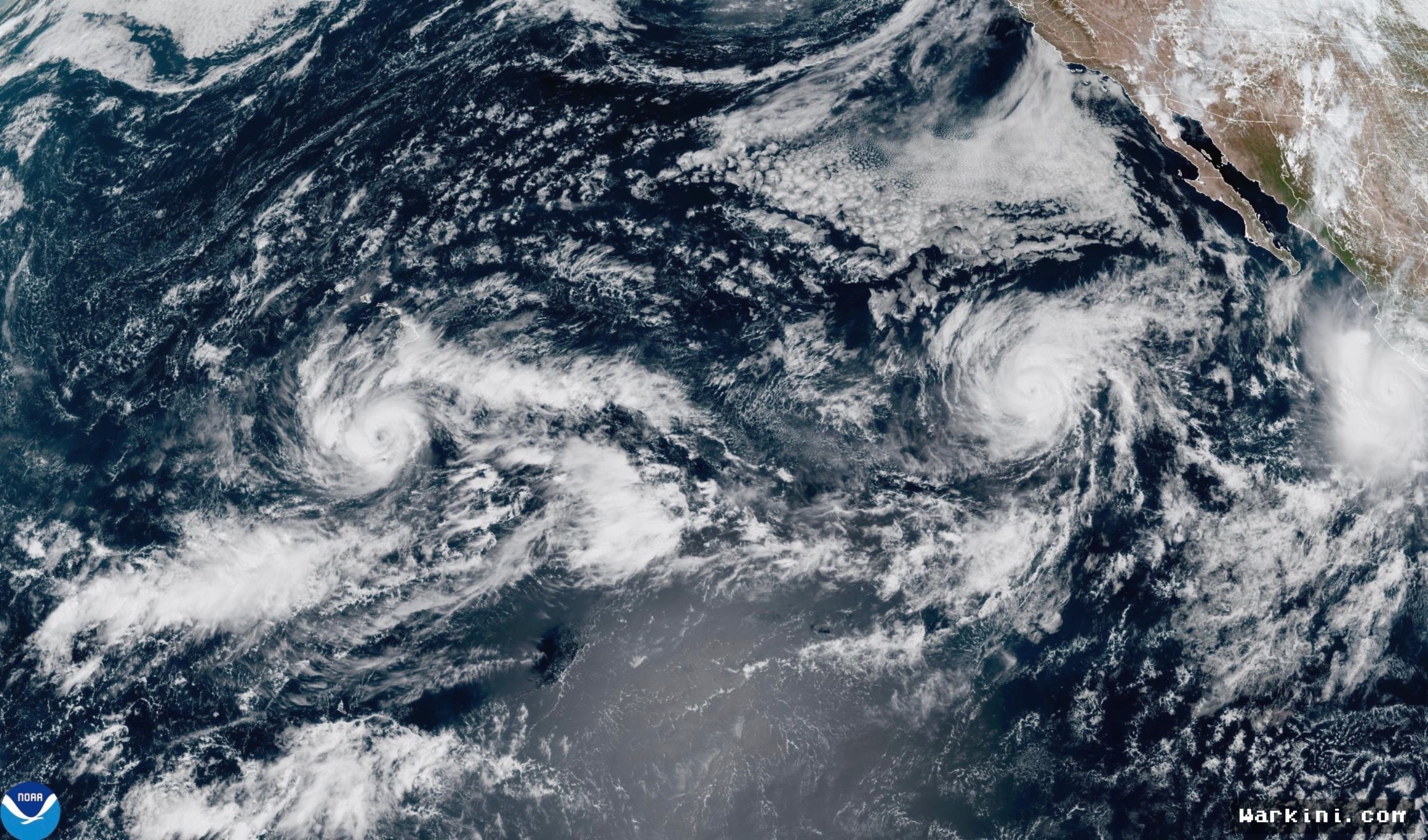 Samudra Pasifik Dihantui Badai Beruntun, Atlantik Sepithanks El Niño
