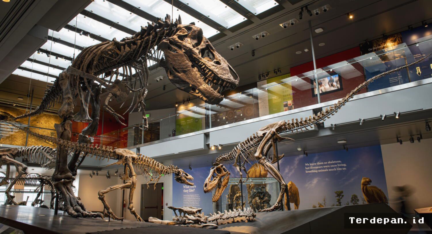 Riset Terbaru Ungkap Suhu Tubuh T-Rex Ternyata Setara Mamalia Modern