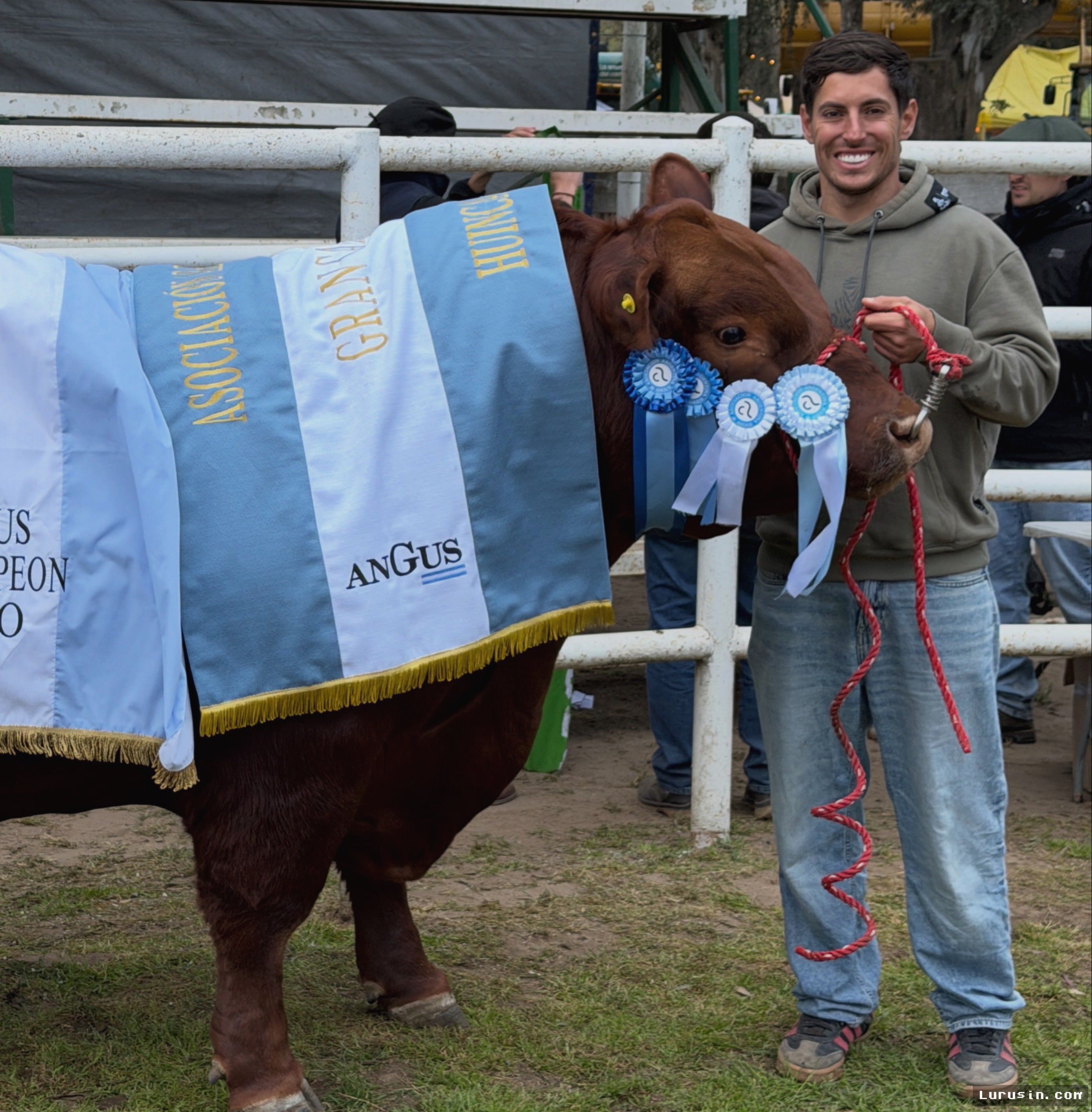 Juara Dakar Nicolás Cavigliasso Sabet Penghargaan Sapi Angus Terbaik