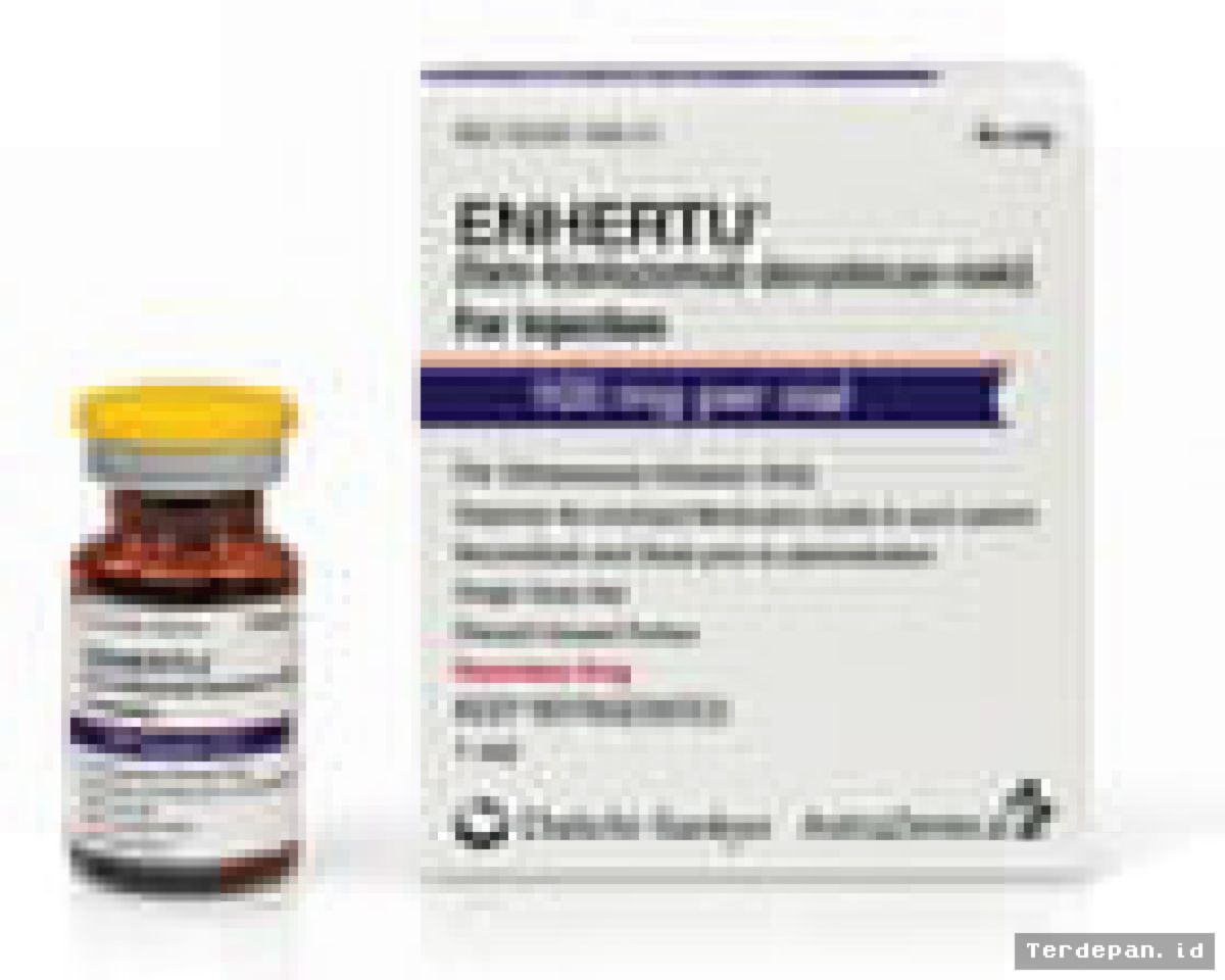 NHS Inggris Resmi Sediakan Obat Kanker Payudara Enhertu