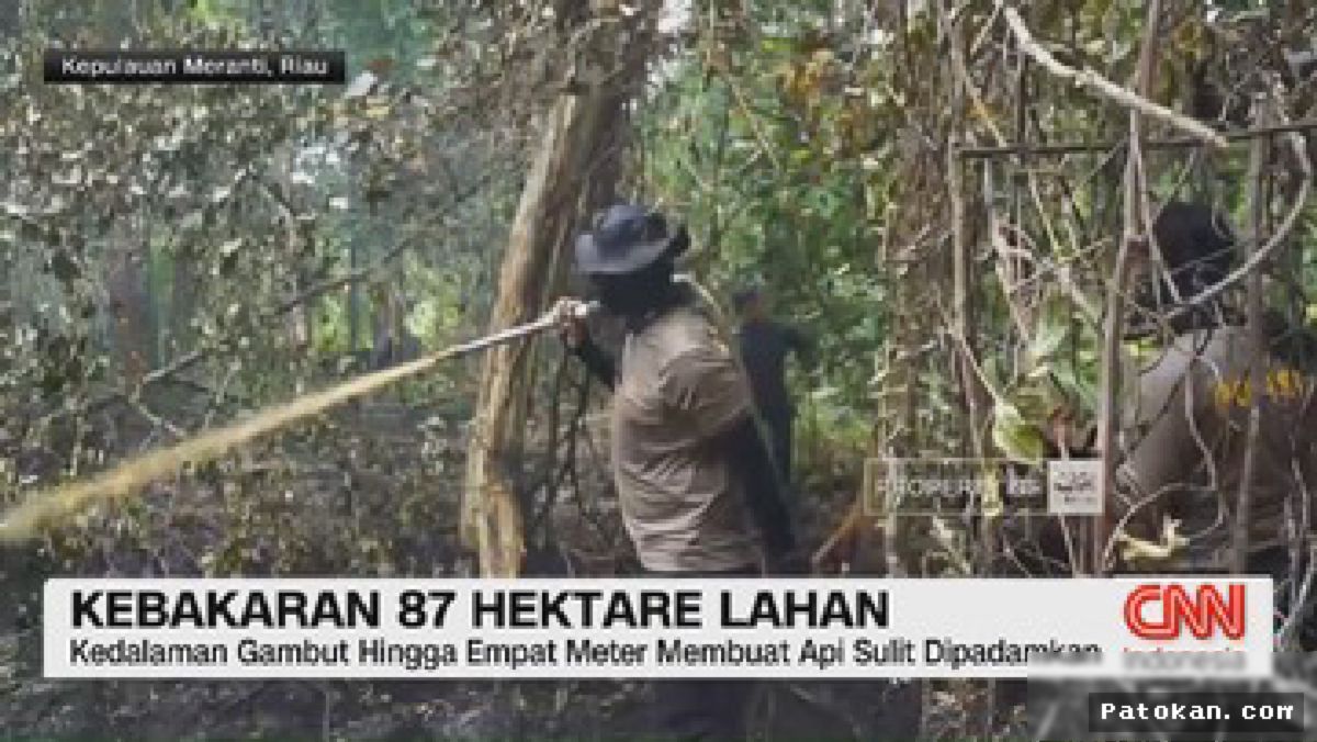 Kebakaran Gambut Meranti Meluas, Petugas Kewalahan Padamkan Api Bawah Tanah