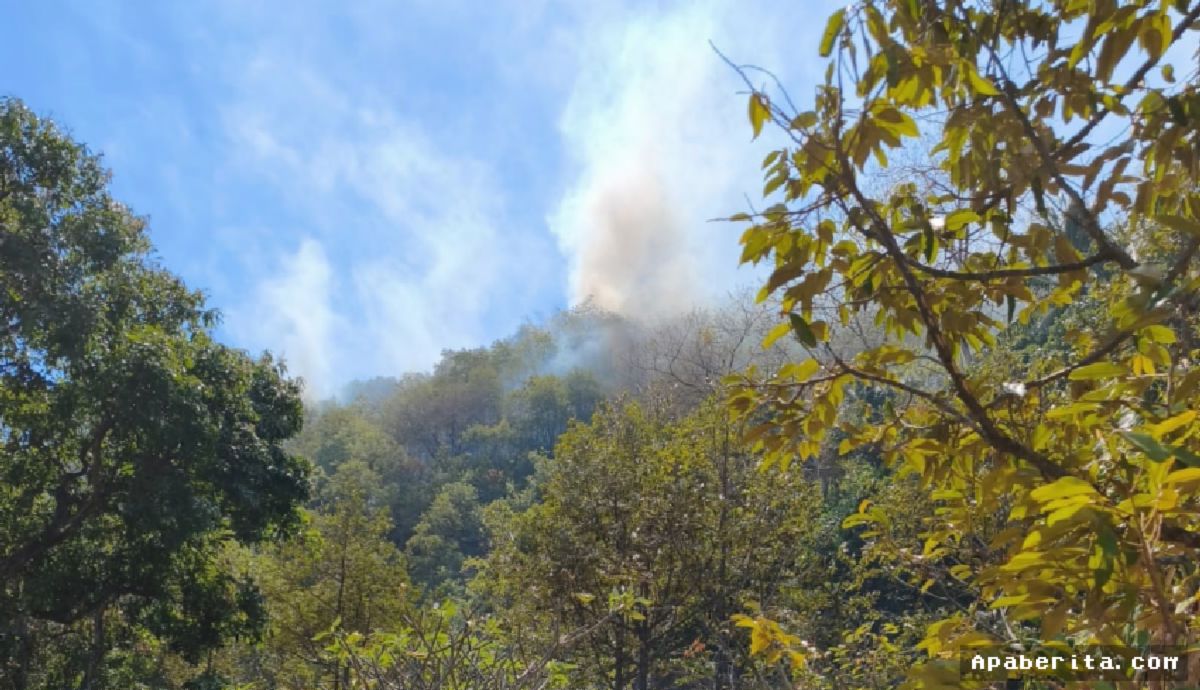 BULELENG — Petugas Berjuang Padamkan Kebakaran Hutan di Medan Terjal Tejakula