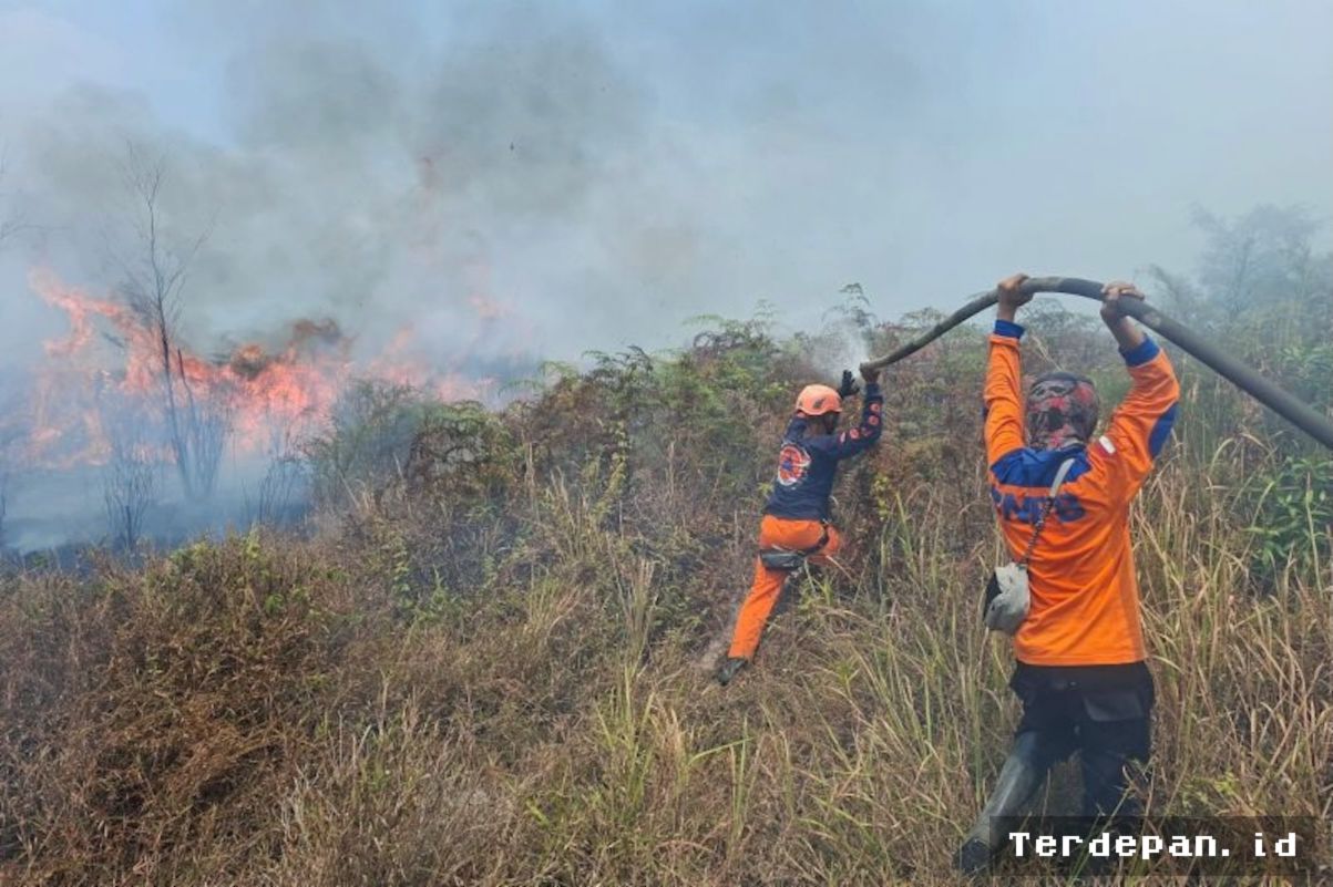 POSO — Karhutla Hanguskan 50 Hektare Gambut dan Kebun Warga
