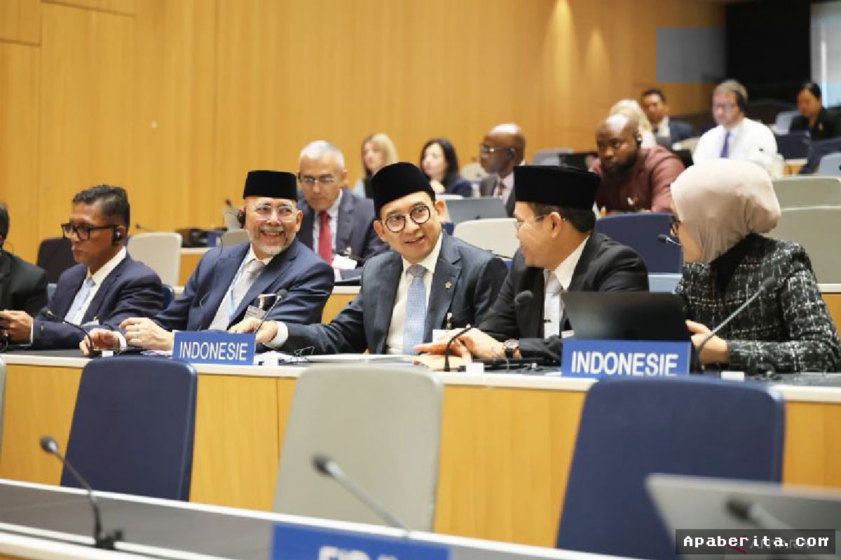 JAKARTA — Fadli Zon Tegaskan Indonesia Siap Berperan Aktif di WIPO