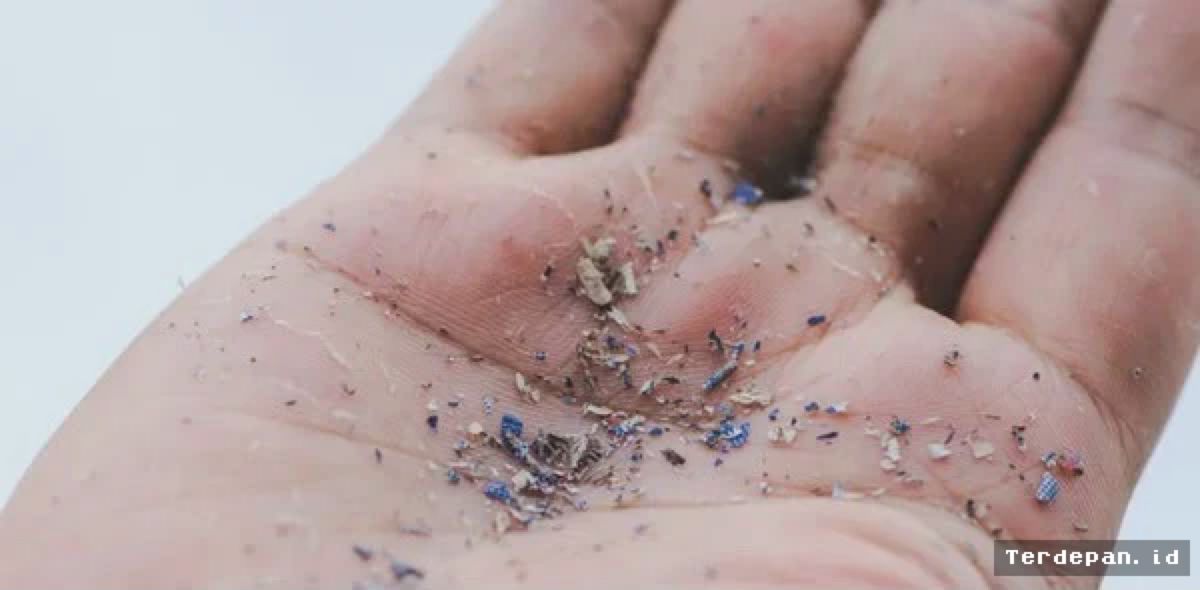 Peneliti Temukan Kandungan Mikroplastik Lebih Tinggi pada Pasien Kanker Paru