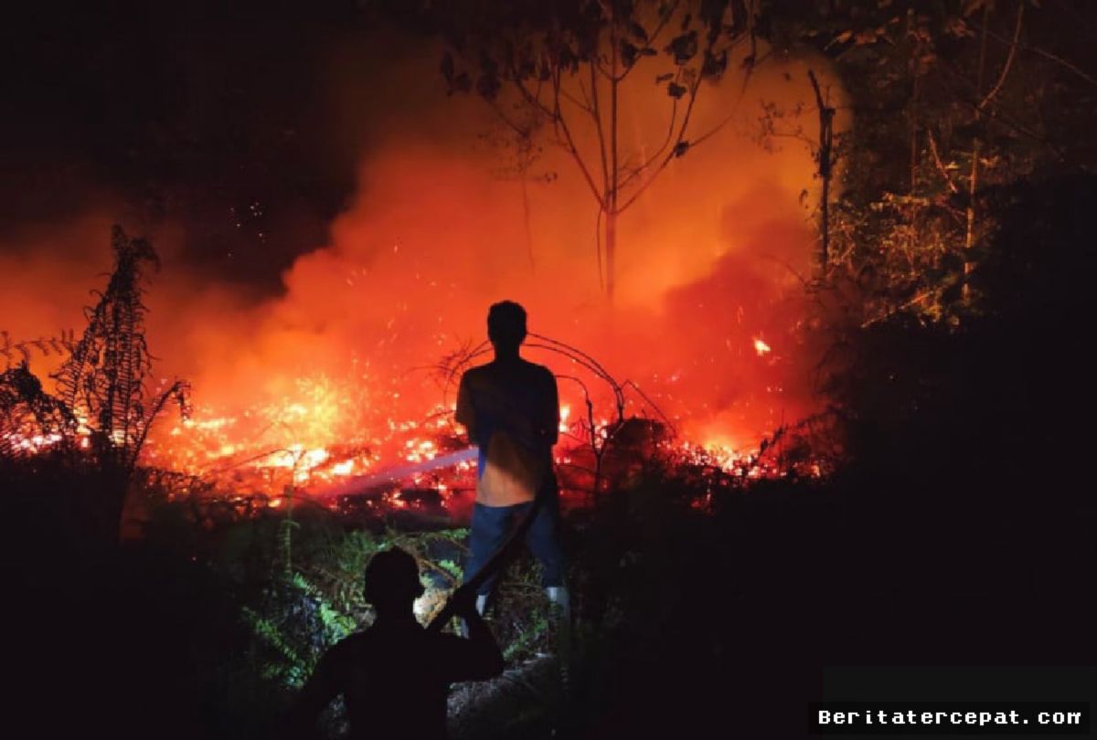 BMKG — September 2026 Masih Jadi Puncak Kritis Karhutla