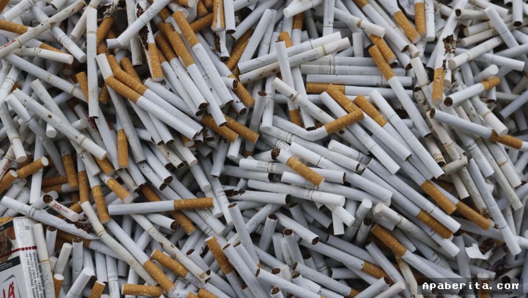 KENDARI — Bea Cukai Kendari Menyita 838 Ribu Batang Rokok Ilegal