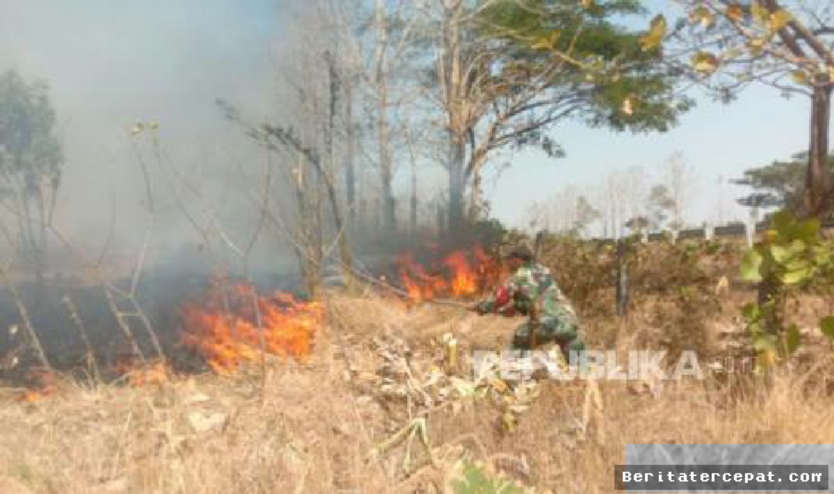 INDRAMAYU — Karhutla Hanguskan Lima Hektare Lahan Hutan di Cikawung