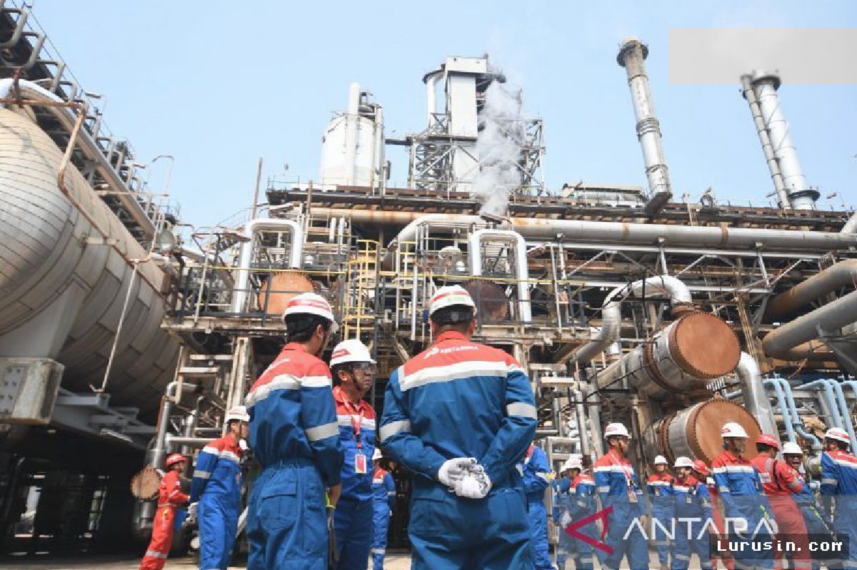 Kilang Balongan Uji Coba Pengolahan Minyak Jelantah Jadi Bahan Bakar Ramah Lingkungan