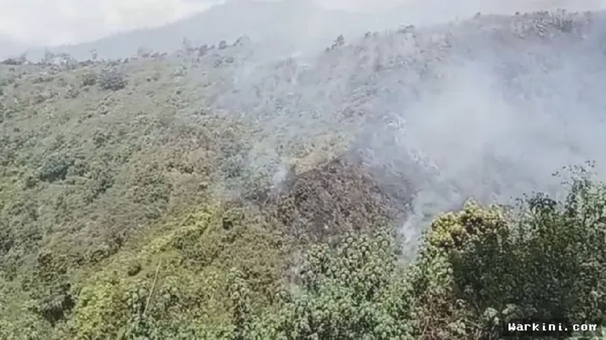 Karhutla Melanda Lereng Gunung Bromo, Medan Terjal Hambat Pemadaman