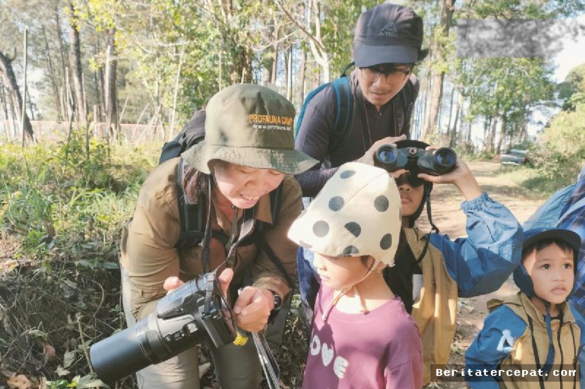 PROFAUNA Optimalkan Birdwatching Cegah Penangkapan Burung