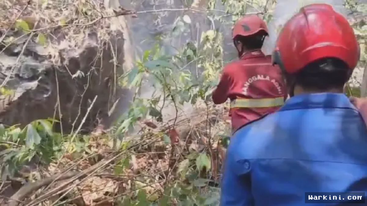 Kebakaran Hutan Melanda Taman Nasional Bantimurung-Bulusaraung