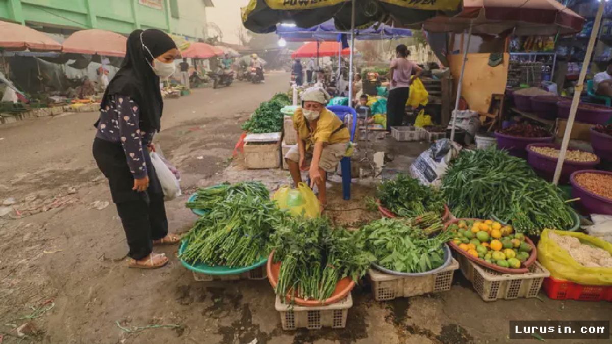 Kabut Asap Karhutla Kalimantan Ancam Kesehatan dan Lumpuhkan Aktivitas Warga