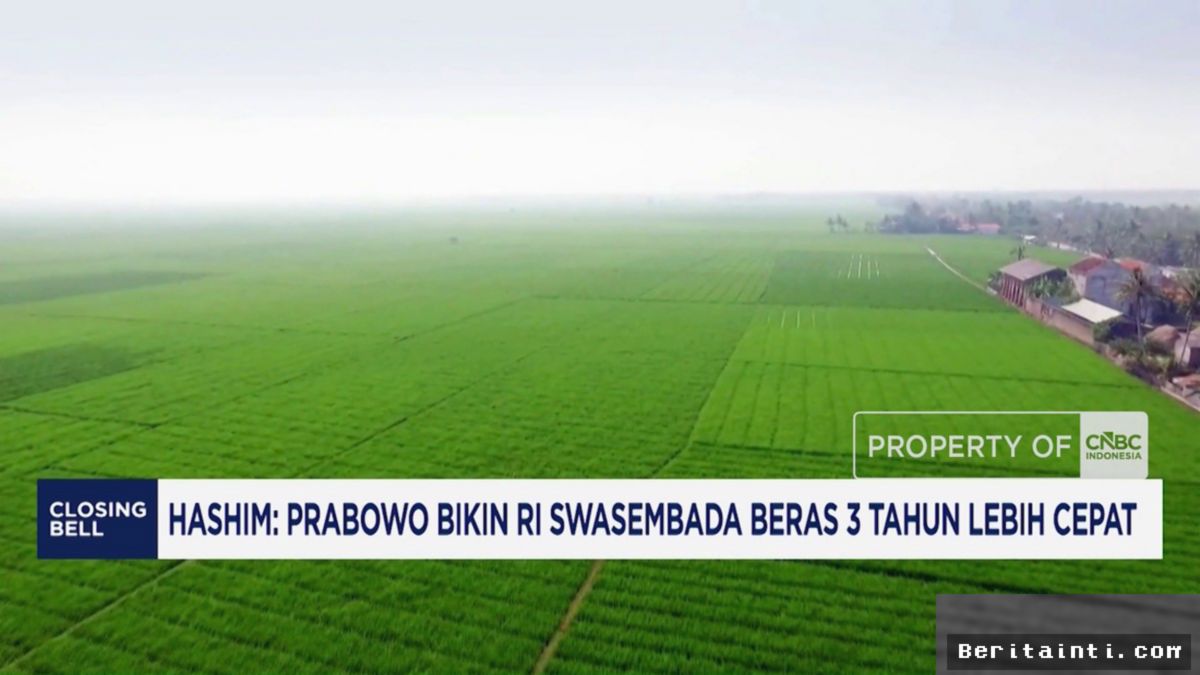 Hashim Klaim Prabowo Percepat Swasembada Beras Tiga Tahun