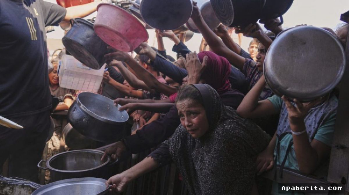 Pejabat Badan Pangan PBB Dipecat Usai Soroti Krisis Kelaparan Gaza