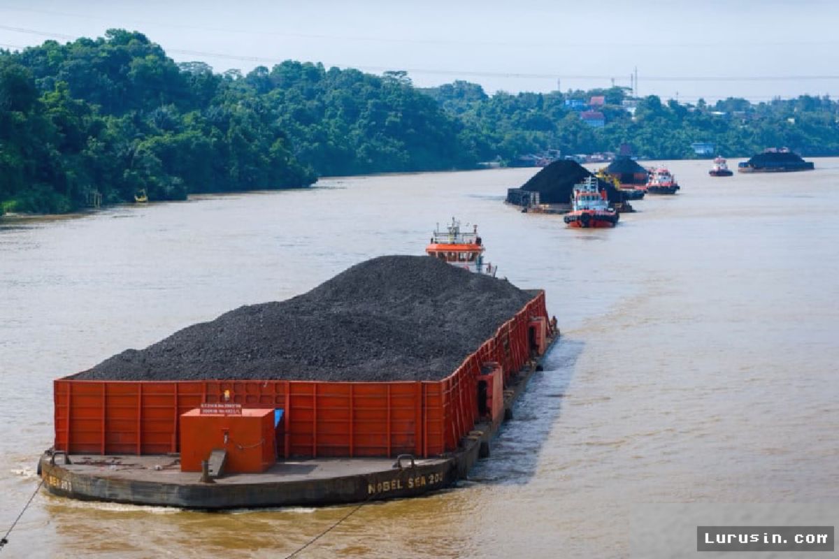 IRESS Minta Batu Bara Kalori Tinggi Diprioritaskan untuk PLTU PLN