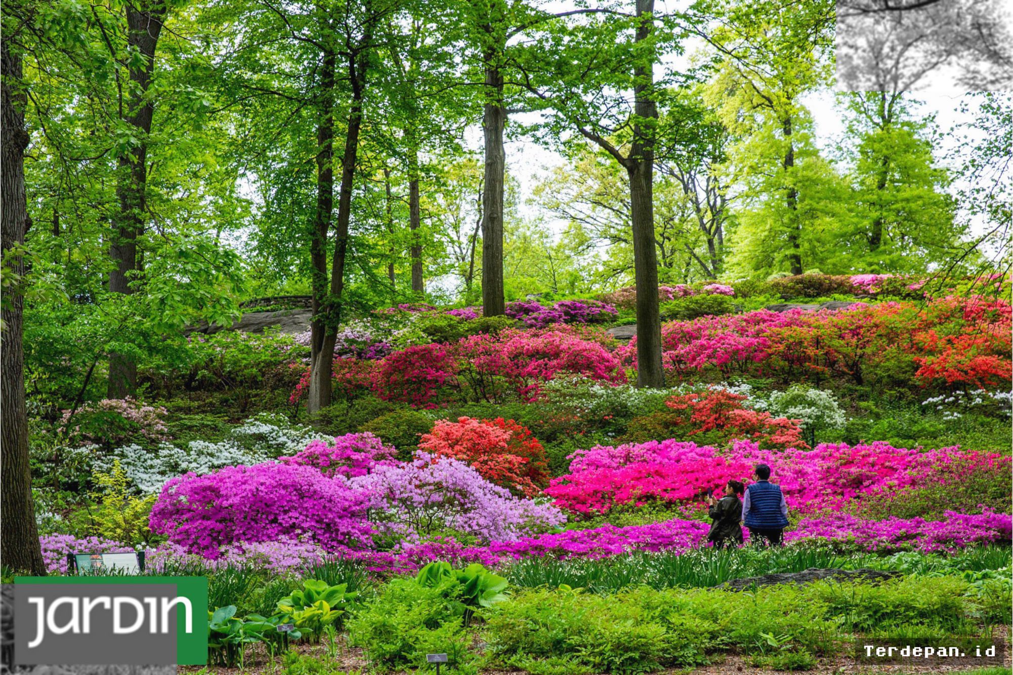 Tujuh Kebun Raya Dunia Simpan Masa Depan Flora Bumi