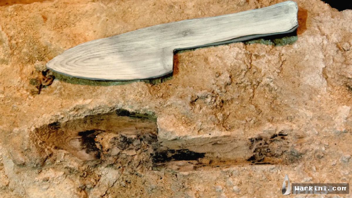 Alat Kayu Neanderthal Ditemukan Terawetkan dalam Batu di Spanyol