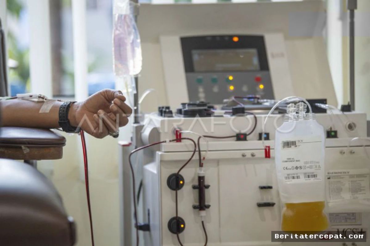 PMI Dorong Regulasi Plasma Konvalesen Jadi Obat Resmi