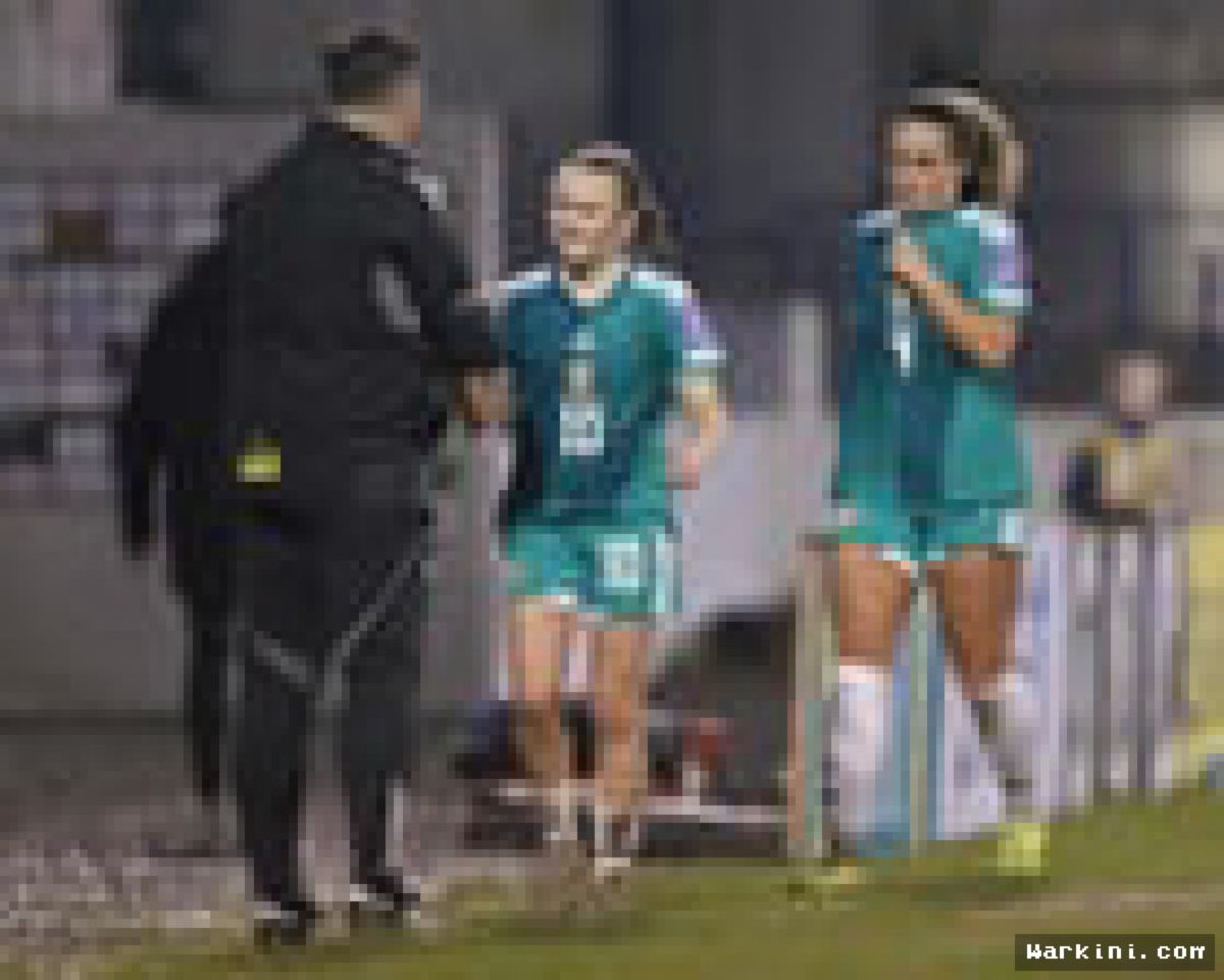 Michael McArdle Bawa Irlandia Utara ke Ambang Sejarah Piala Dunia