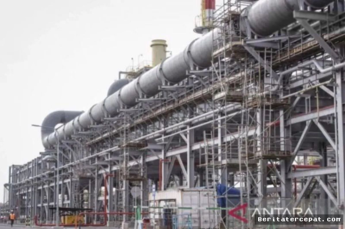 IMEW Nilai Dua Smelter PTFI Beroperasi Perkuat Hilirisasi