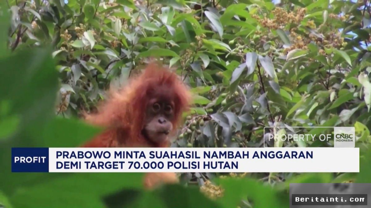 Prabowo Dorong Tambahan Anggaran untuk 70.000 Polisi Hutan