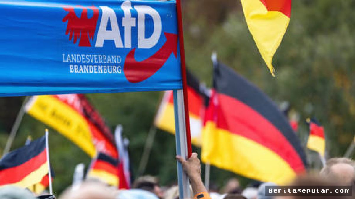 Presiden Jerman Dituding Salah Kutip Sejarah Weimar demi Bungkam AfD