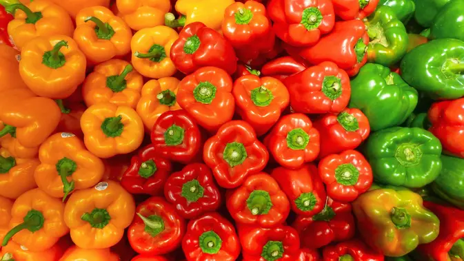 Beda Warna Paprika, Beda Rasa? Ini Fakta yang Auto Bikin Lo Salfok