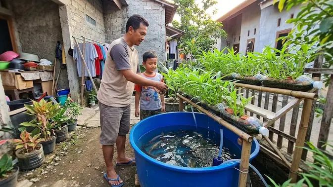 Kangkung Aquaponik Bareng Lele, Panen di Rumah Tanpa Ribet